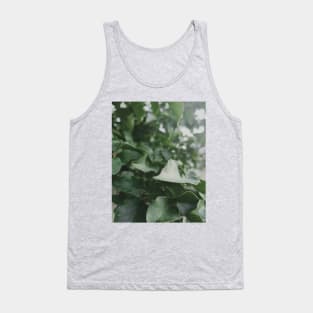 green leaves, dark green leaf, plant, nature Tank Top